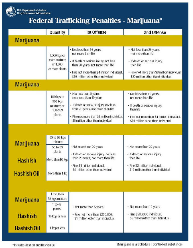 Federal Marijuana Trafficking Sentencing Chart
